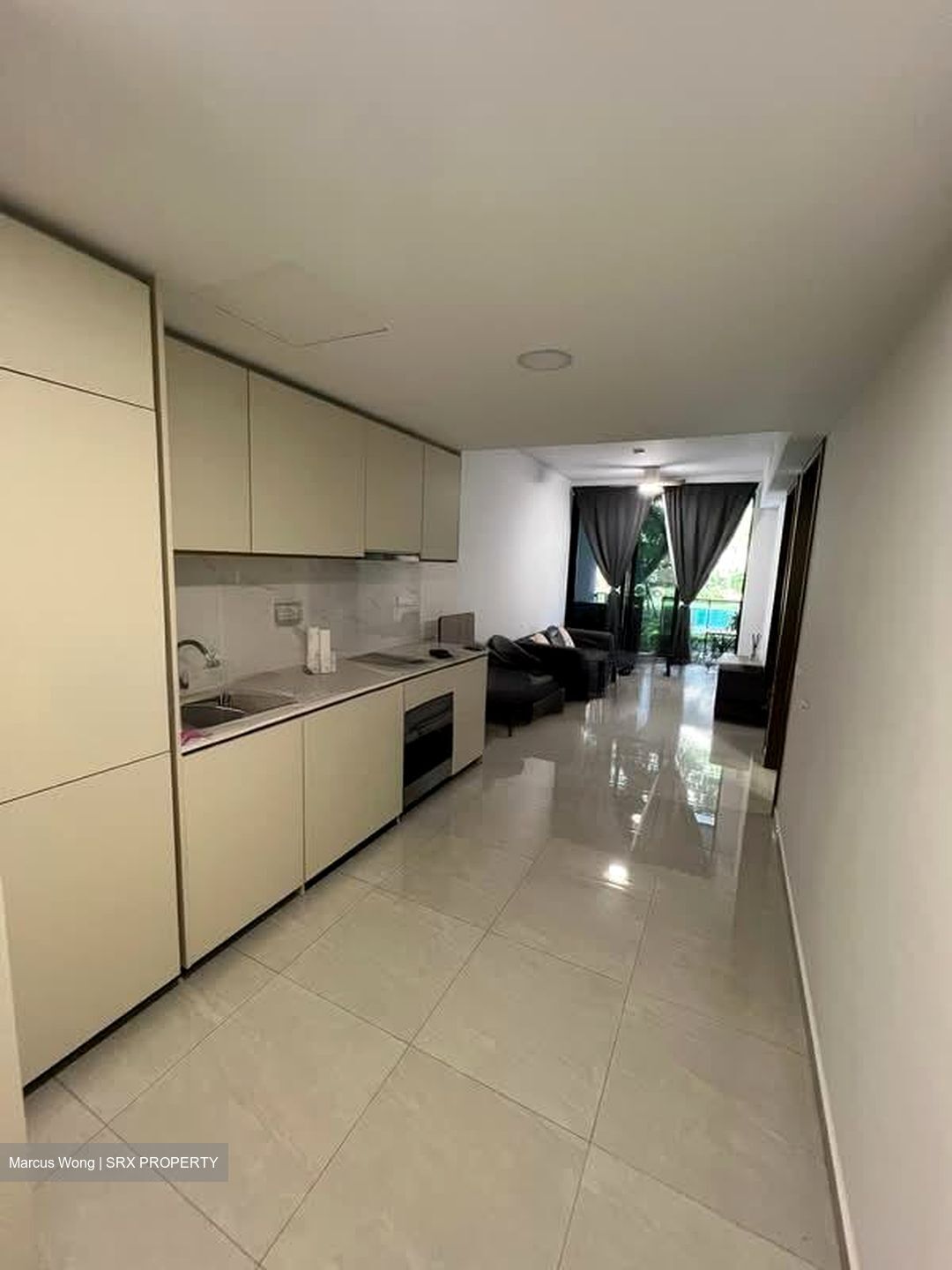 Kopar At Newton (D9), Apartment #553434341